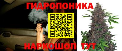 амф Бугуруслан