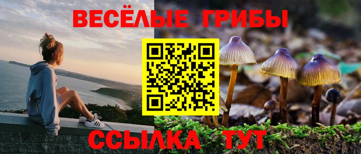 Галлюциногенные грибы Psilocybine cubensis  Галлюциногенные грибы GOLDEN TEACHER  Вход с VPN  Маркс 